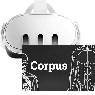 Corpus